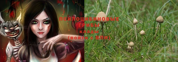 кристаллы Алексин