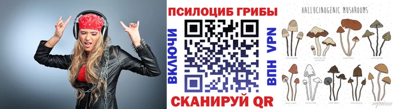 Псилоцибиновые грибы Magic Shrooms  купить наркотики сайты  Аргун 
