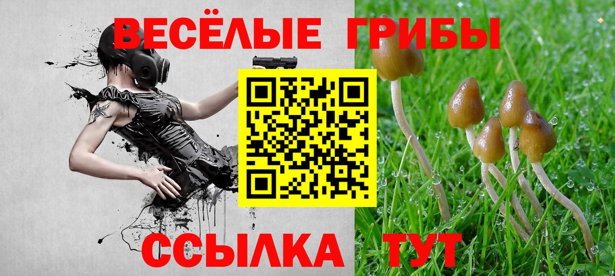 Галлюциногенные грибы мицелий Аргун
