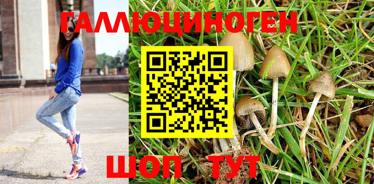 Галлюциногенные грибы Magic Shrooms  Вход с VPN  Аргун 